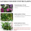 Plant Soil Moisture Meter Soil Humidity Tool for 5