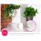 Corner Wall Mounted Flowerpot Self Watering Flower 5