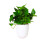 Corner Wall Mounted Flowerpot Self Watering Flower 1