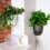 Corner Wall Mounted Flowerpot Self Watering Flower 7