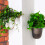 Corner Wall Mounted Flowerpot Self Watering Flower 8