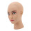 Mannequin Head PVC Bald Manikin Head Model for 5