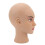 Mannequin Head PVC Bald Manikin Head Model for 14