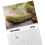 2025 Funny Spoof Landscape Calendar 2