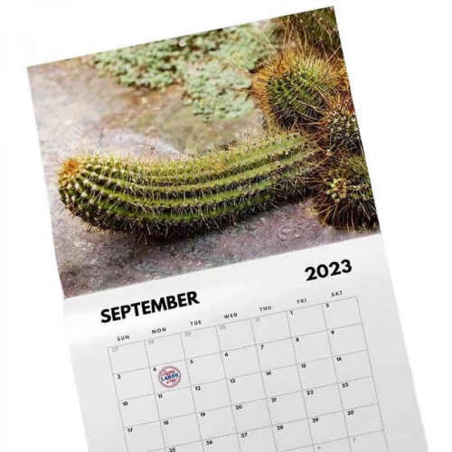 2025 Funny Spoof Landscape Calendar 1