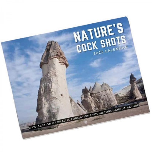 2025 Funny Spoof Landscape Calendar 2
