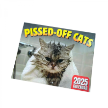 2025 Peed-Off Cats Calendar - Hilarious Cat Themed Gifts for Cat Lovers