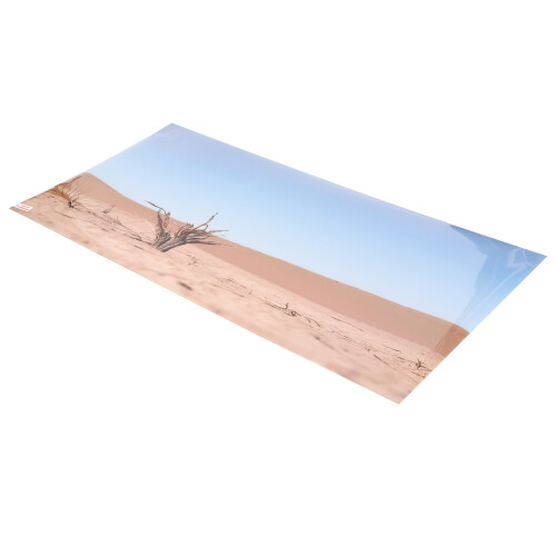 Fish Tank Background Decoration Desert Dry 2