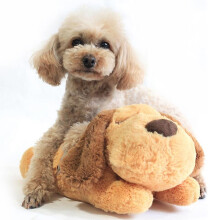 (Peace Of Mind Dog)Puppy Toy with Heartbeated Dog Calming Behavioral Training Toy Sleeping Animal Plush Buddys for Separation Anxiety Relief