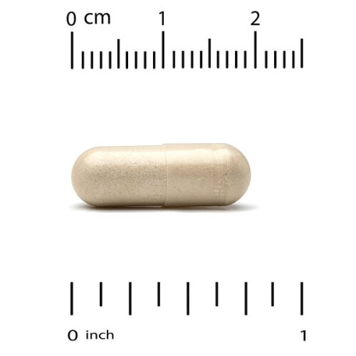 Akkermansia 30B 2