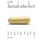 Akkermansia 30B PLUS mit Berberin-Phospholipid-Matrix und OEA 3