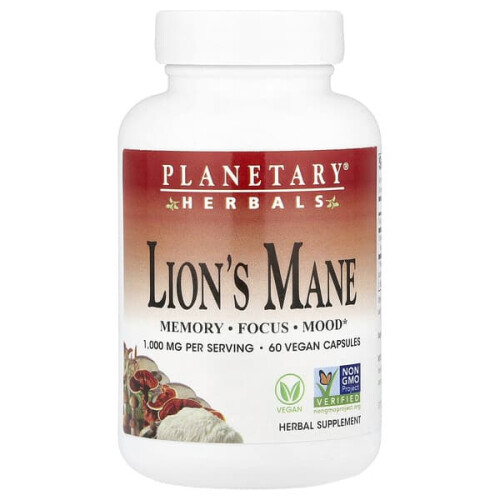 Lion's Mane