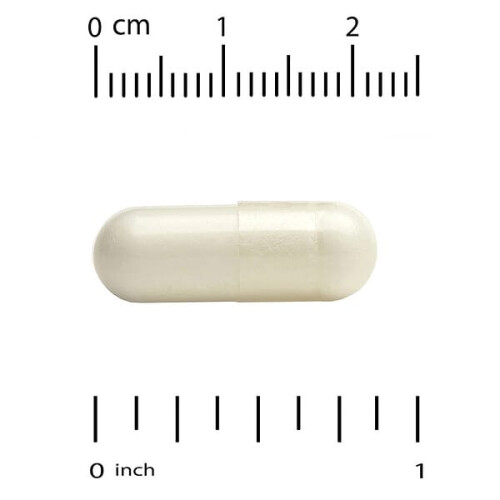 Immune Complex 4 2