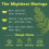Moringa Pur, Poudre Biologique de Super Aliment Vert 3