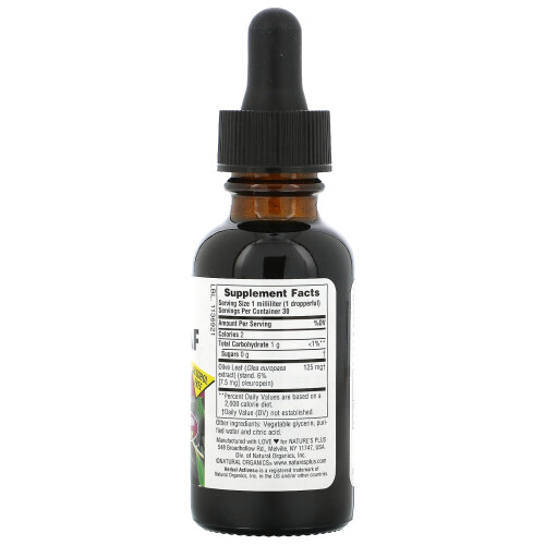 NaturesPlus, Actifs Végétaux, Feuille d'Olivier, Sans Alcool, 1 fl oz (30 ml) 1