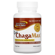 North American Herb & Spice, Roher ChagaMax, 90 vegetarische Kapseln
