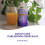 Nature's Way, Flüssiges Eisen, Beere, 16 fl oz (480 ml) 6