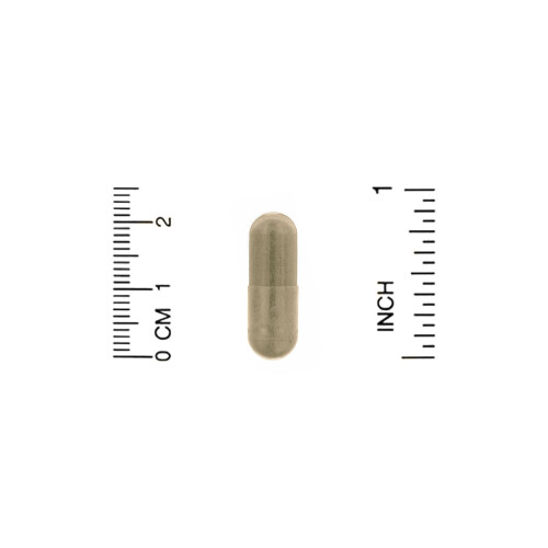 Organic India, Neem, 90 Vegetarische Kapseln 2