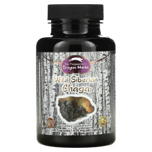 Dragon Herbs, Wilder sibirischer Chaga, 450 mg, 100 Kapseln