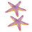 2Pcs Starfish Toy Simulation Details Cute 6