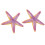 2Pcs Starfish Toy Simulation Details Cute 10