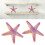 2Pcs Starfish Toy Simulation Details Cute 11