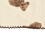 Baby Blanket Cute Cartoon Bear Pattern Soft 14