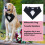 Bandana para smoking de cachorro, lenços de cabeça para cães, cachecol triangular para animais de estimação 3
