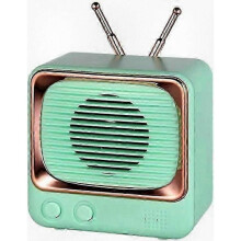Vintage Green Wireless Speaker with FM Radio, Compact Portable Speaker for Music