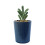 Leaf Leaf Ceramic Stripe Planter with Artificial Plant 1