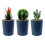 Leaf Leaf Ceramic Stripe Planter with Artificial Plant 2