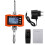 (EU Plug) 0.2kg-1000kg HD LED Display Wireless Electronic Hook Scale With Remote control 1