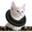 Collier, collier pour chat avec ceinture réglable, collier pour chat 1