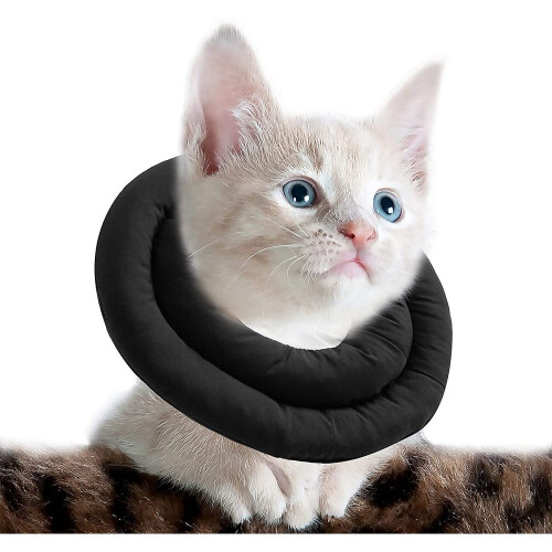 Collier, collier pour chat avec ceinture réglable, collier pour chat