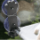 Chaise longue pour chat pour chats et hamac pliable 6
