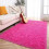 Soft Fluffy Bedroom Rug, Plush Shaggy Rug 2