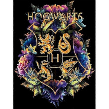 (30x40cm) Diamond Painting Harry Potter Theme 30 x 40cm, Diam