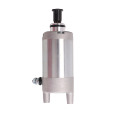 Motor for Yfb250 Yfm200 Yfm250 Ytm200e Ytm225dx