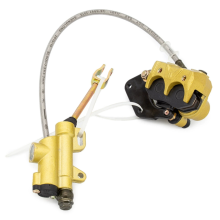 Motorcycle Rear Disc Brake Assembly