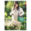 Agricultural Sprayer Lithium Battery Backpack Sprayer 5