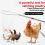 Chicken Catching Net,Adjustable Chicken Net 2