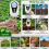 Digital Soil Tester 4-in-1 Soil PH Moisture Light Temperature Meter 4