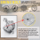 Fingerprint Password Fingerprint Safe Replacement Lock 6