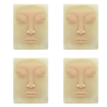 Beginner 3D Silicone Permanent Makeup for Microblading Face