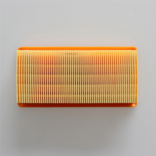 Filter 6.415-953.0 for AD 2, AD 3.000, AD 3 Premium Fireplace 2
