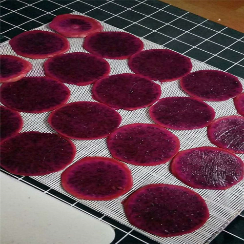 Dehydrator Sheet for Food Dehydrator,10 Pcs 29X37cm 2