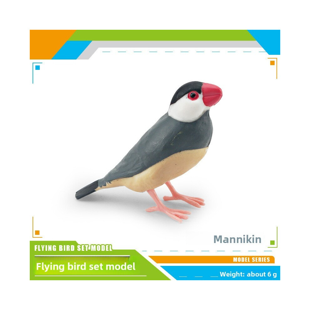 (Finch) Owls Parrots Magpies Wildlife Bird Animal Model Static Decor Ornament Desktop-image-OPC-PJVNDZG-NEW