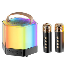 Karaoke Machine Microphone Set Portable System for Adults and Kids, Black ABS, Includes Wireless Microphones