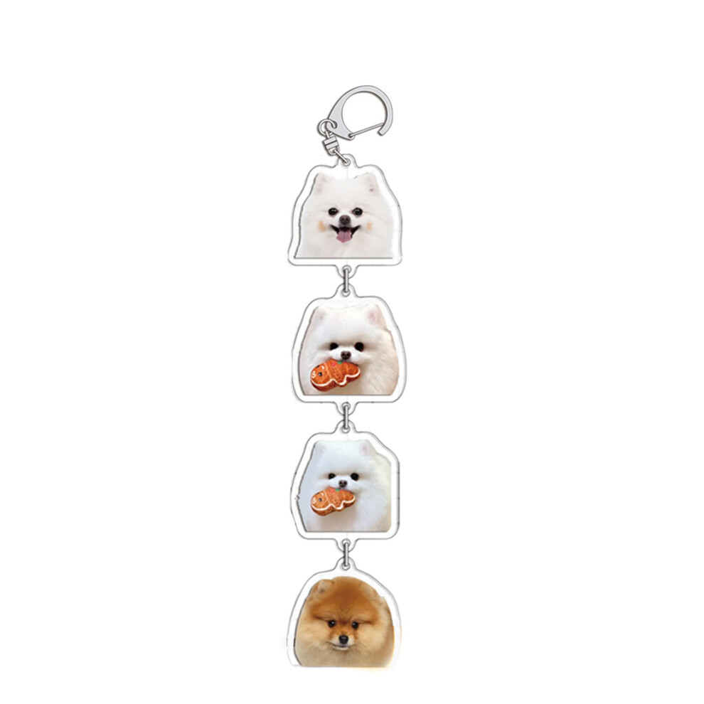 4 Pomeranian Portable Acrylic Keychain Cartoon-image-OPC-PJVS2D5-NEW