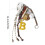 Letter B Color Baseball Baseball Bag 6